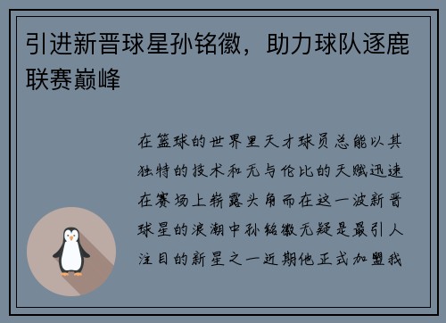 引进新晋球星孙铭徽，助力球队逐鹿联赛巅峰