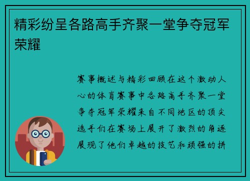 精彩纷呈各路高手齐聚一堂争夺冠军荣耀